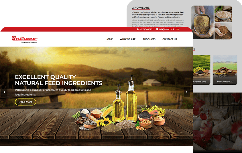 Web Design Portfolio 