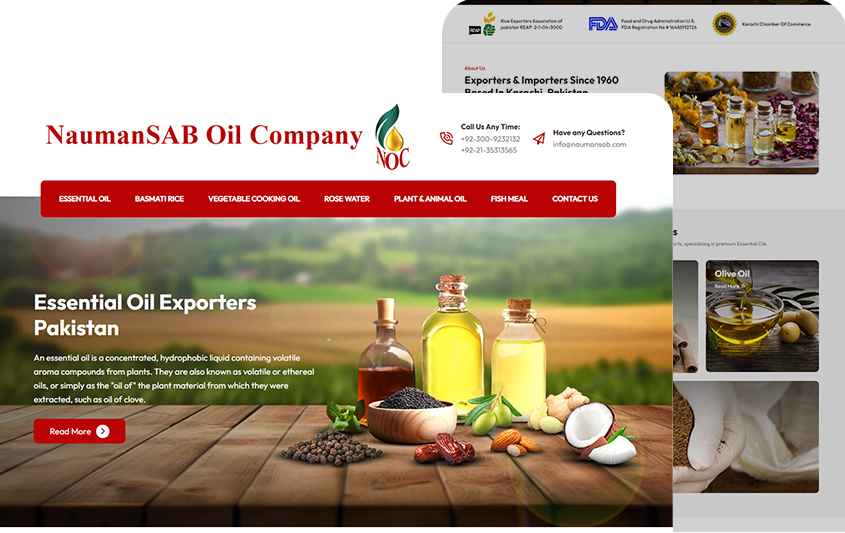 Web Design Portfolio 